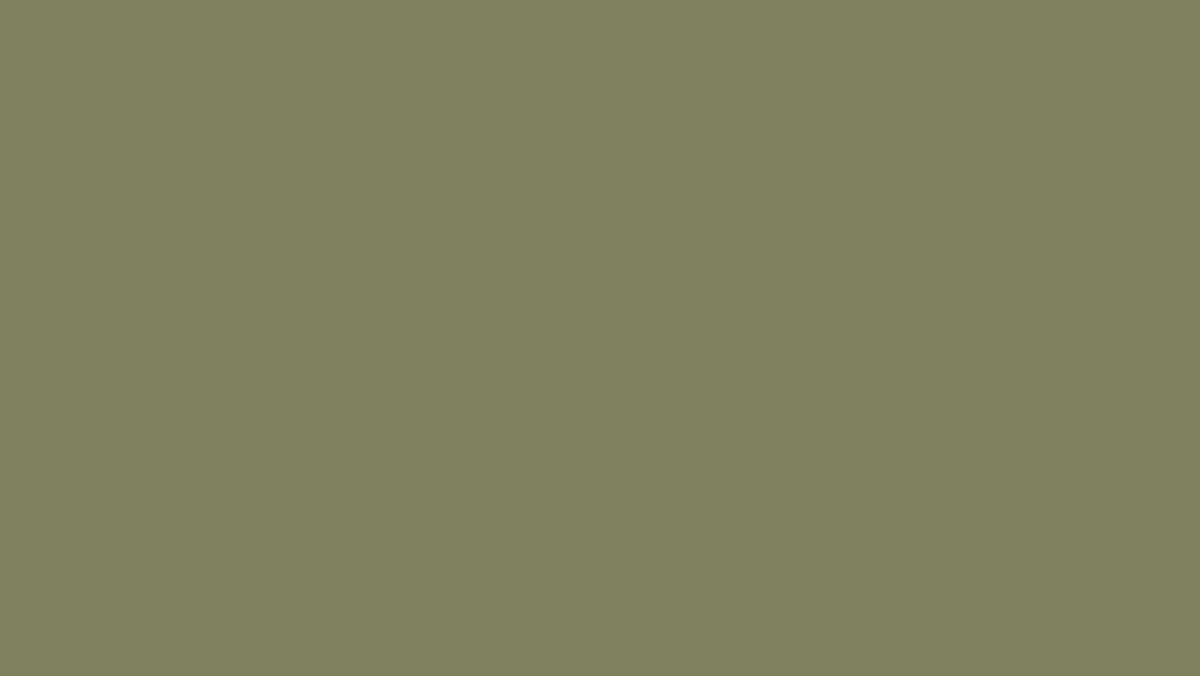 Olive Green coated steel sample